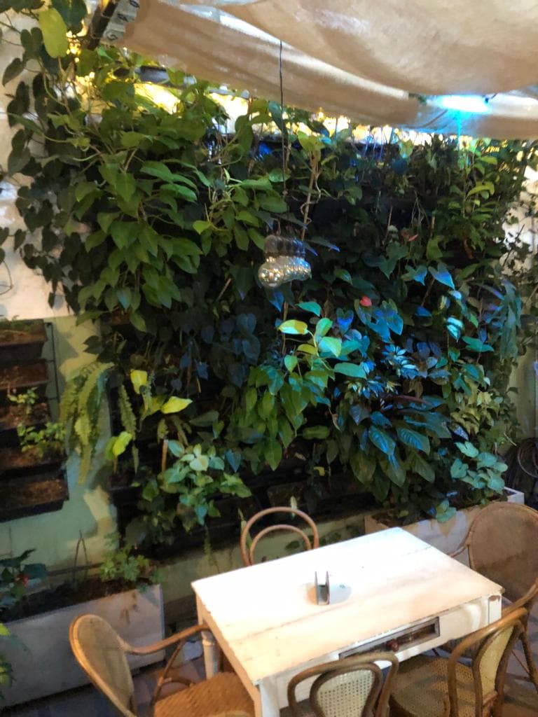AMA Vegan Restaurant in El Poblado, Medellín