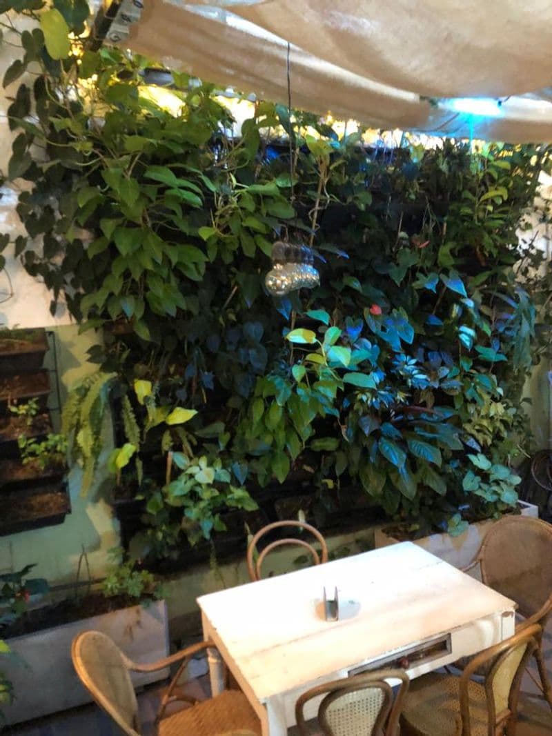 AMA Vegan Restaurant in El Poblado, photo 1