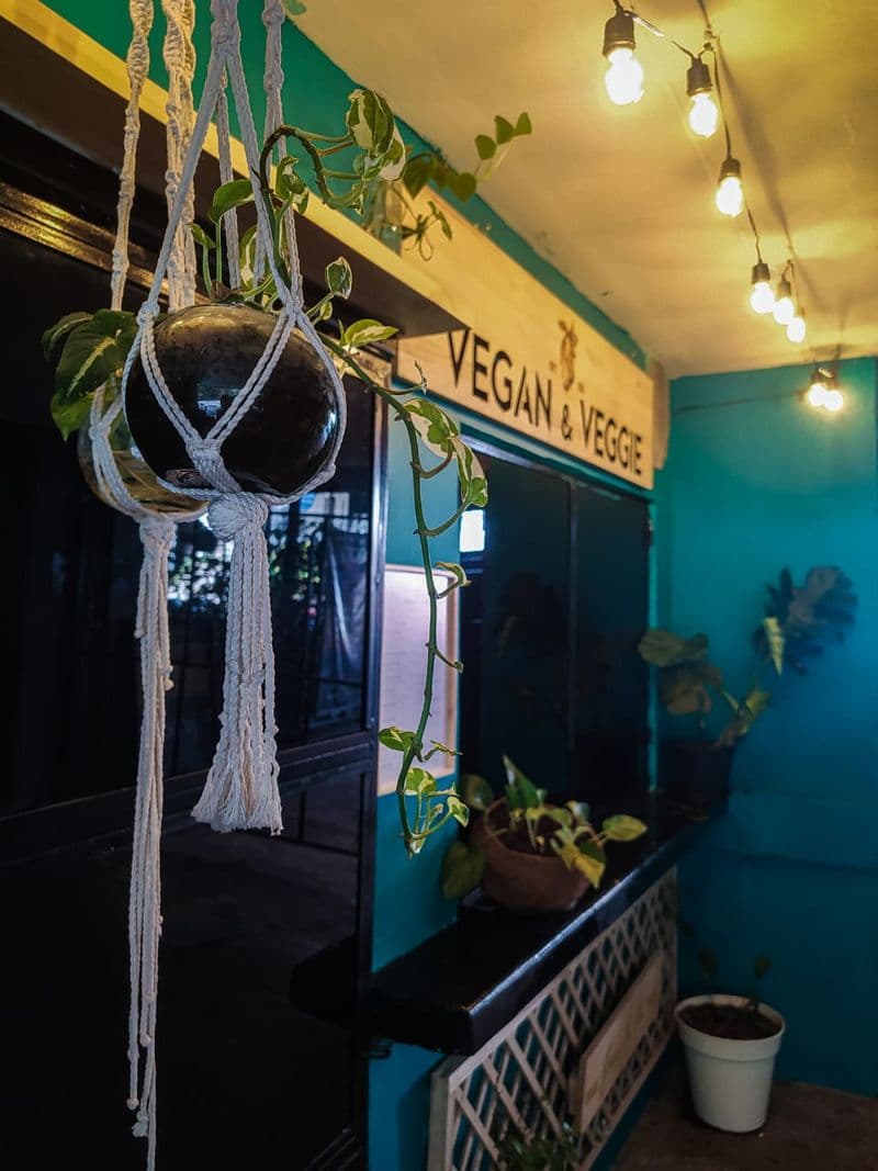 Vegan & Veggie restaurant in El Poblado, photo 1
